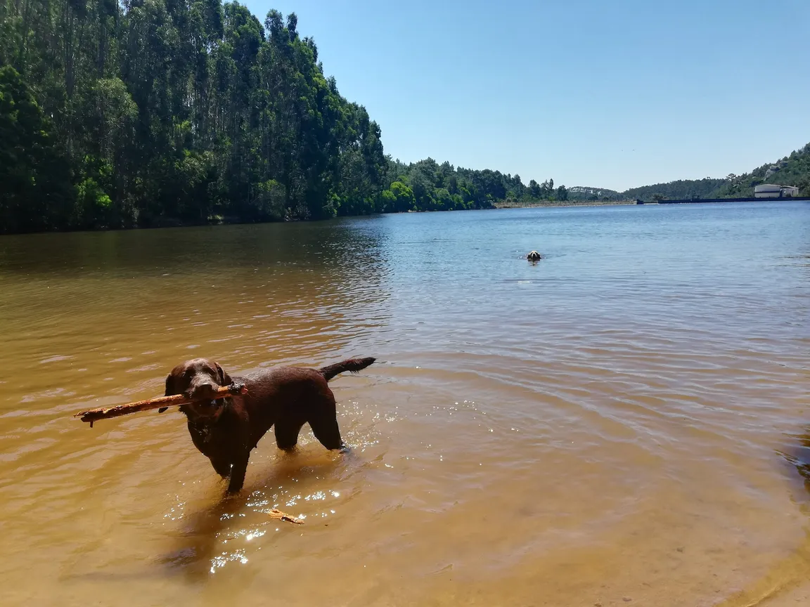 Rio da Mula