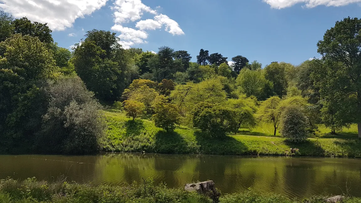 National Trust - Winkworth Arboretum