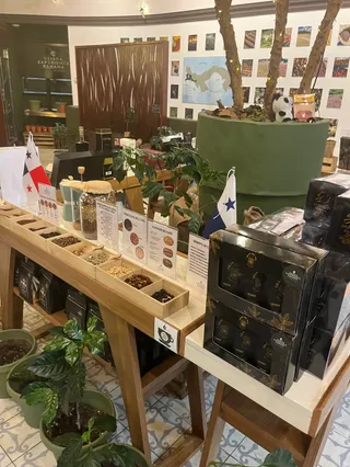 Geisha Experience