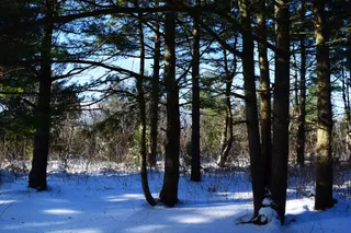 Ecology Village