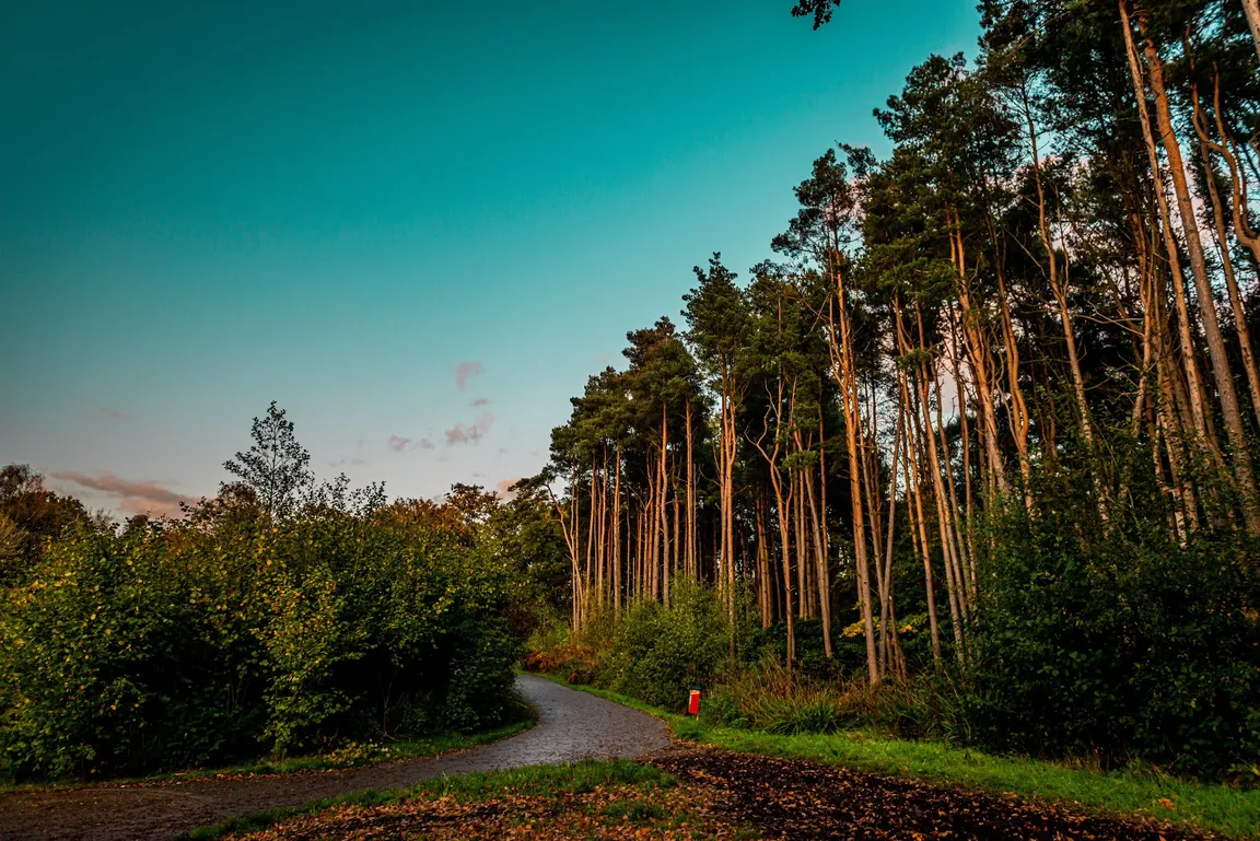 Tilgate Park