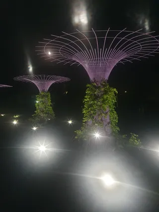 Park Miejski Jeziorko