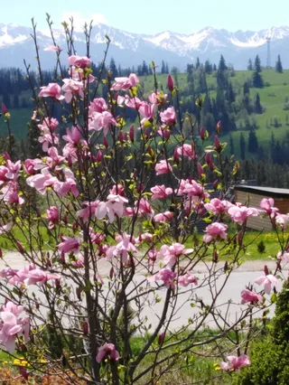 Agroturystyka Halka