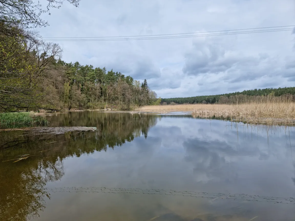 Brodnicki Park Krajobrazowy