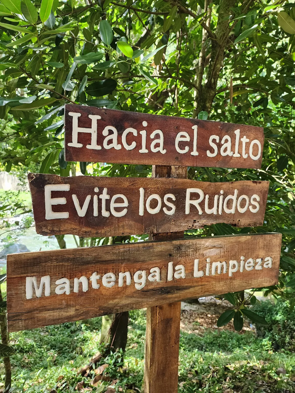 Sendero Natural Por La Rivera del Río Jimenoa