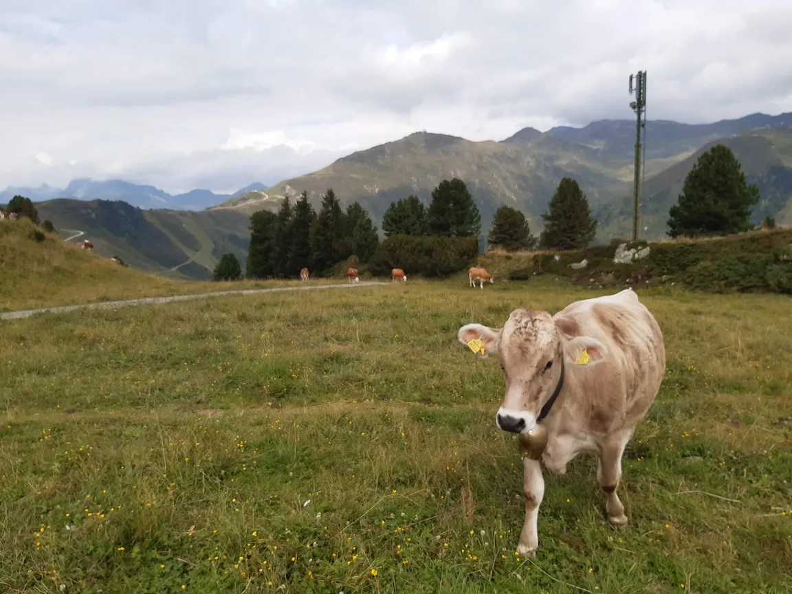 Zillertal
