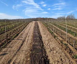 Clos Troteligotte - Vin Bio et Biodynamie AOC Cahors