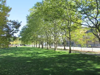 Dexter Training Ground
