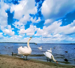 Kąpielisko Dzika Plaża