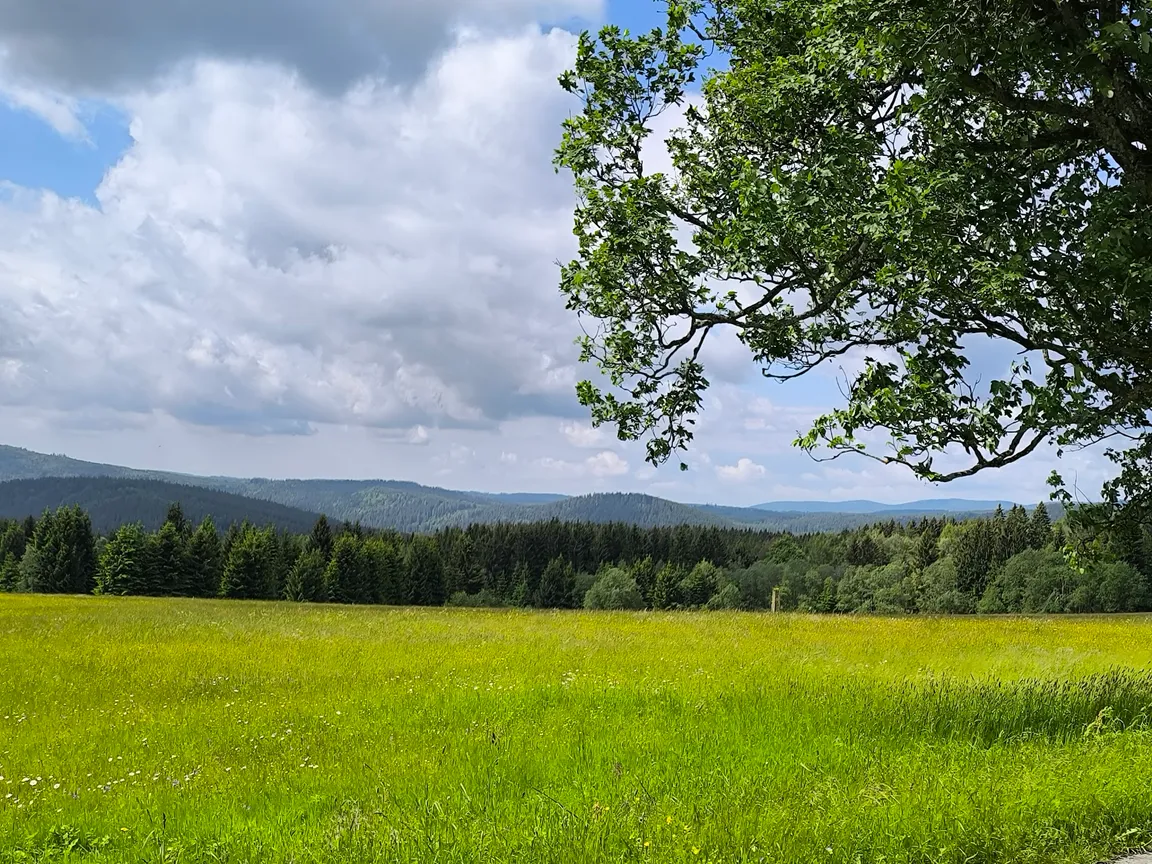 Park Narodowy Szumawa