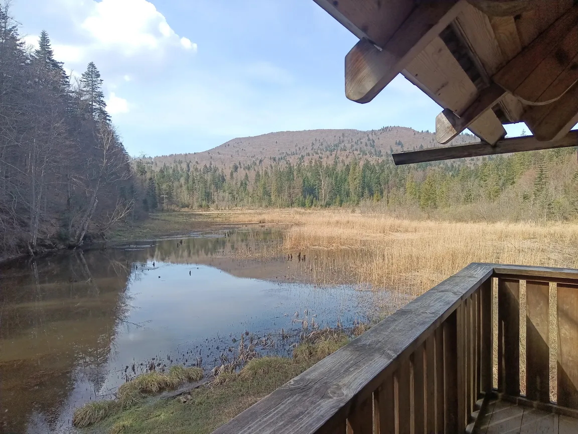 Jeziorka Bobrowe - platforma widokowa