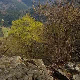 Burg Kybfelsen