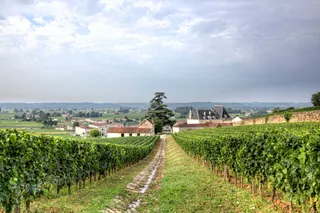 Château Fonplegade