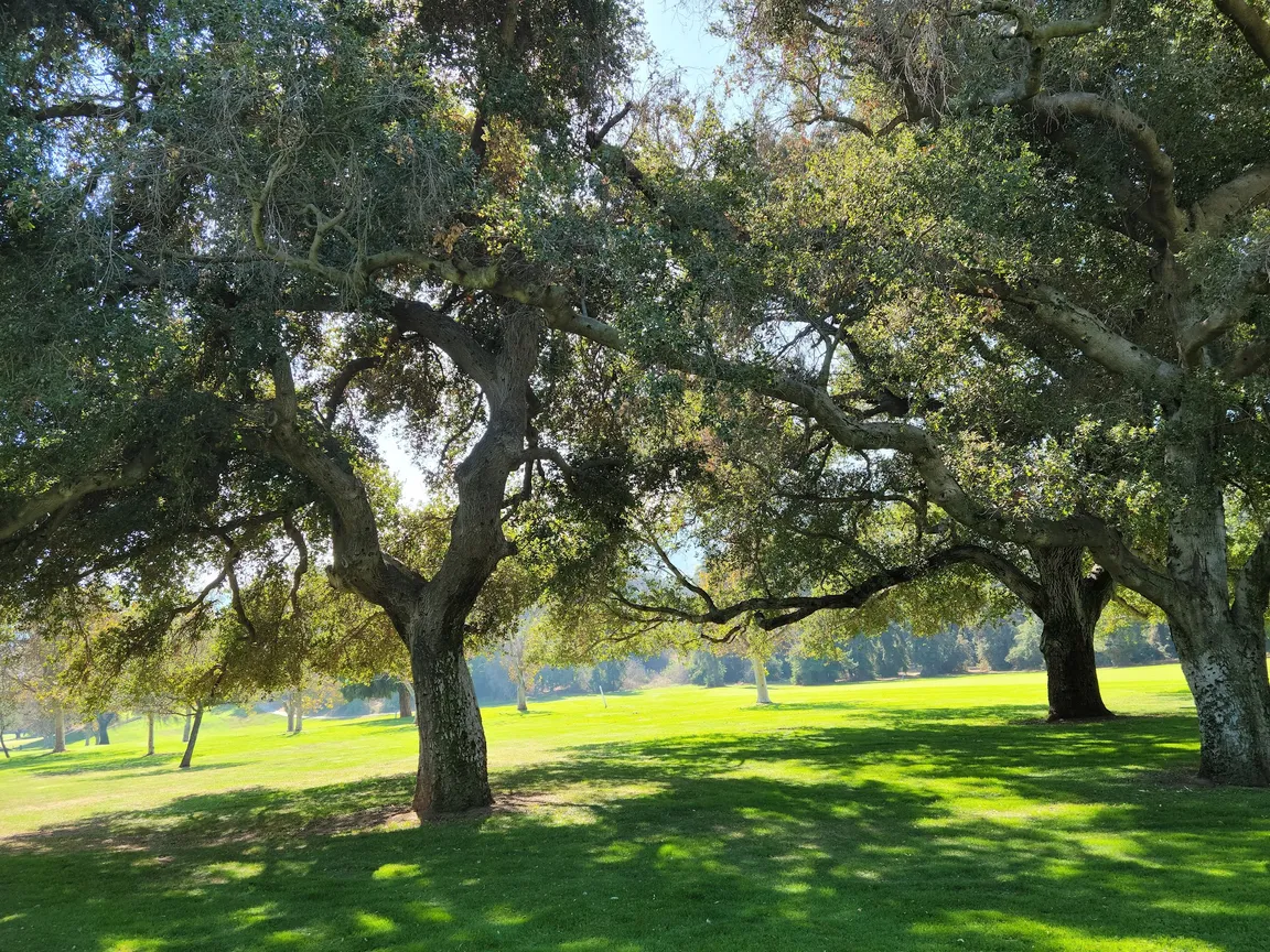 Wilson & Harding Golf Courses