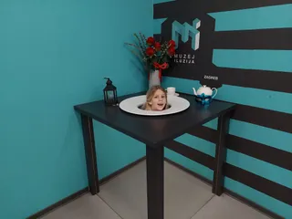 Museum of Illusions