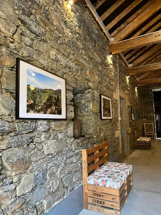 Vieira de Sousa Porto and Douro Wine - Tasting Room and Visits