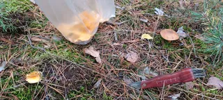 Grób Żołnierzy Węgierskich