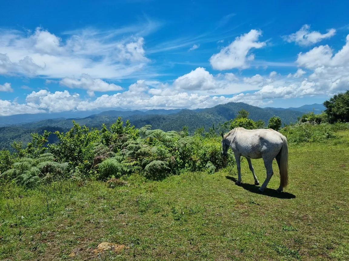 Montaña Mogote