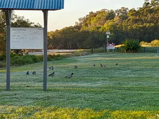 Kingfisher Lookout