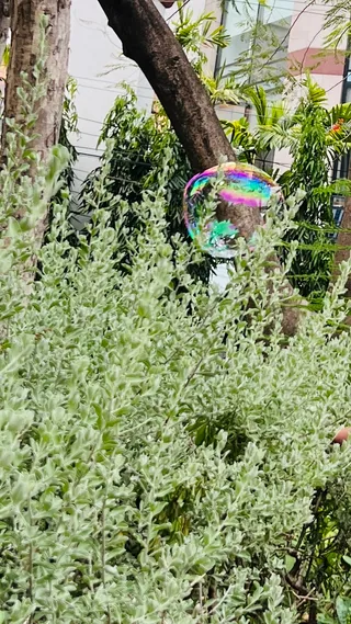 Playground (1-4 Years Old)
