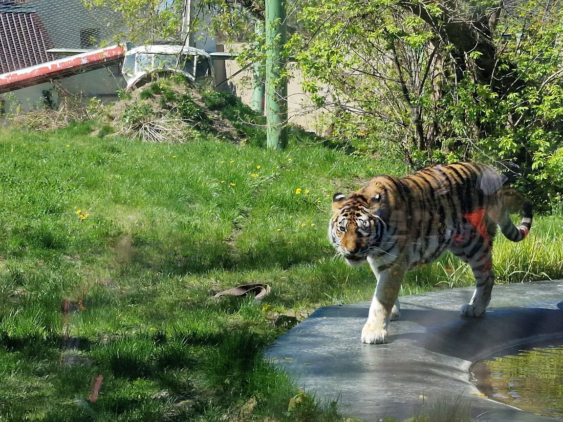 Orientarium ZOO Łódź