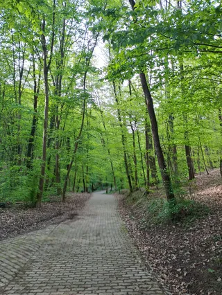 Park šuma Dotrščina
