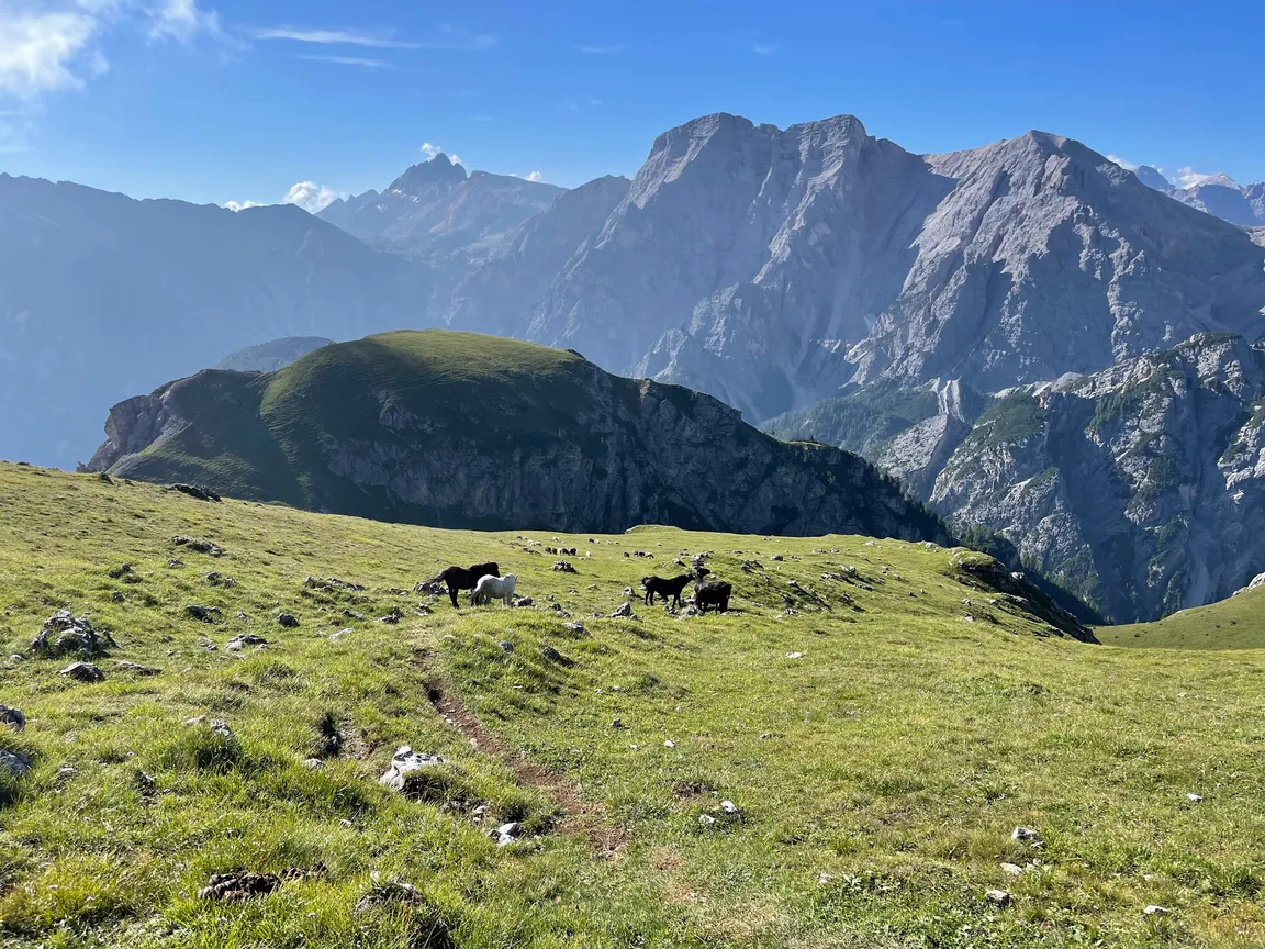 Col Alt - Hochalpenkopf