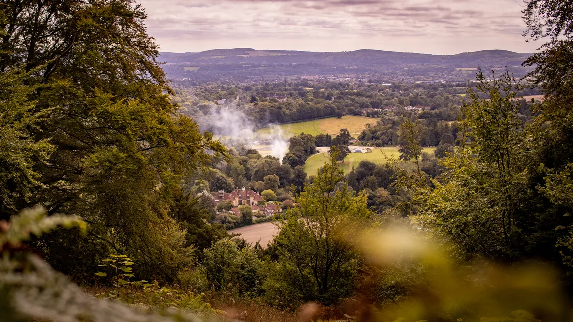 Ashford Hangers National Nature Reserve