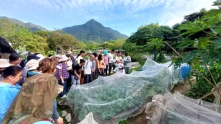 O-Farm