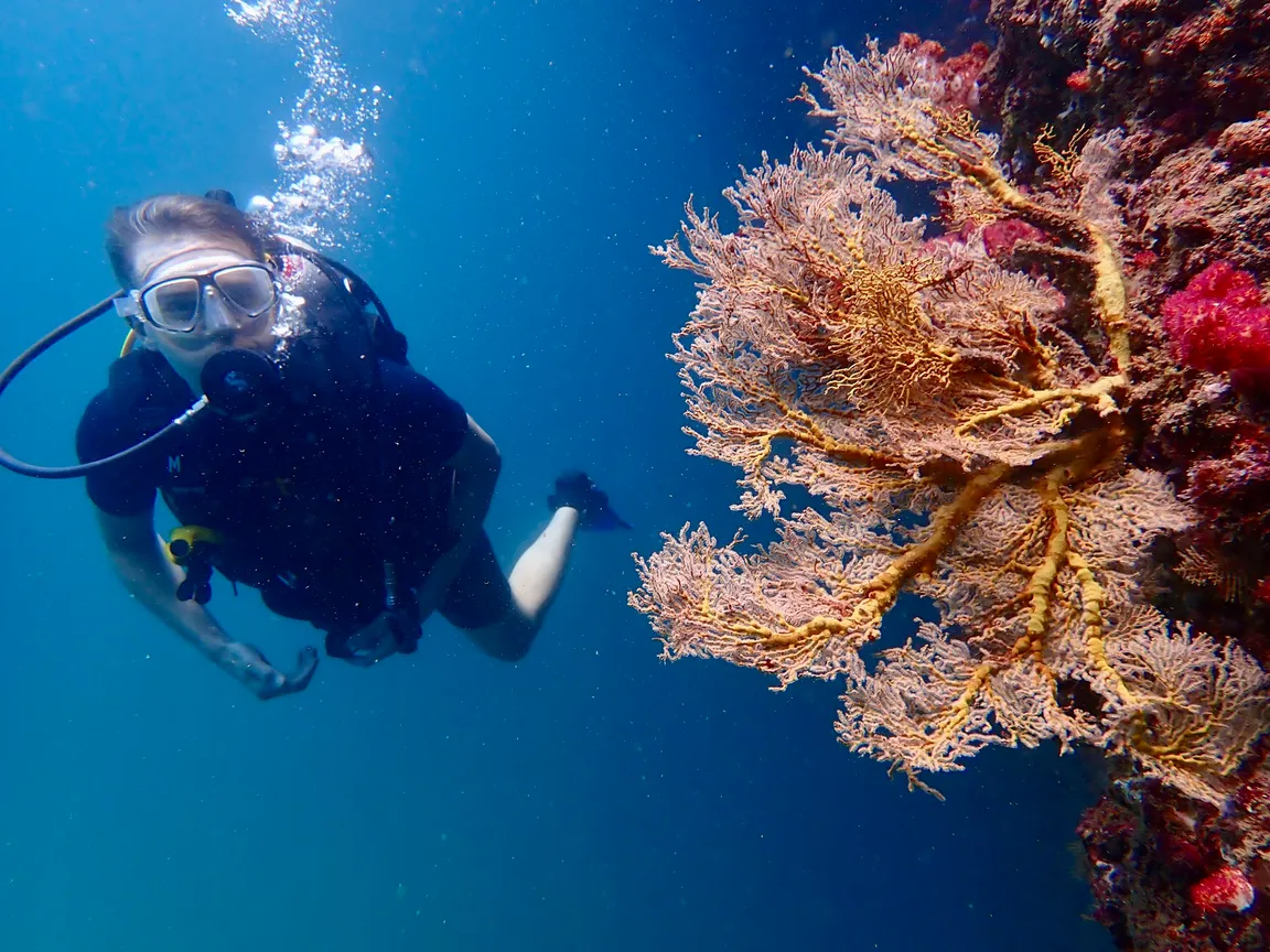 Trang Pro Dive