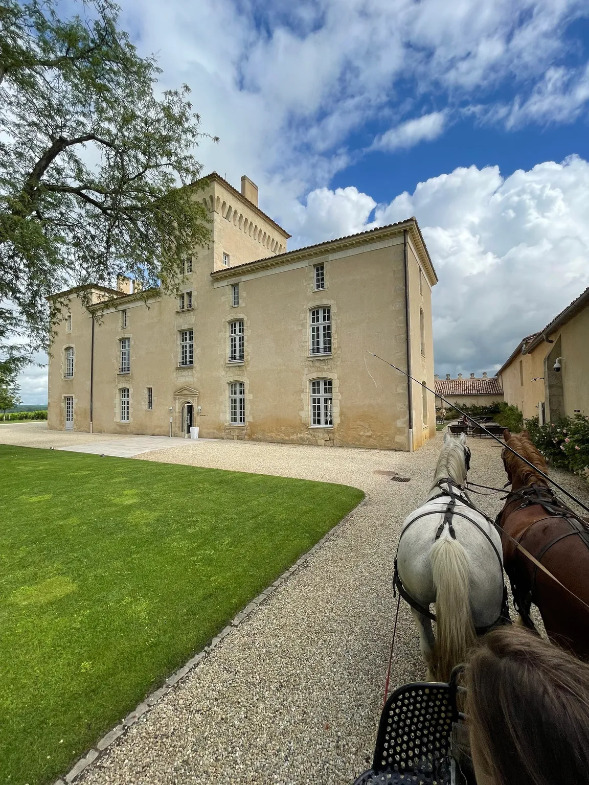 Château Lafaurie-Peyraguey