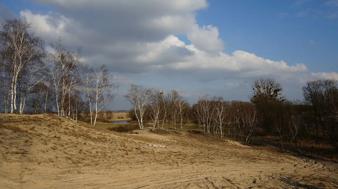 Nadwarciański Park Krajobrazowy