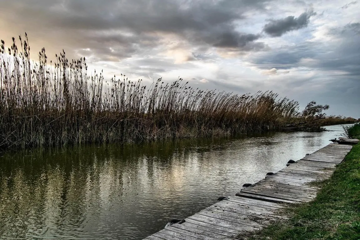Parc Natural de l'Albufera