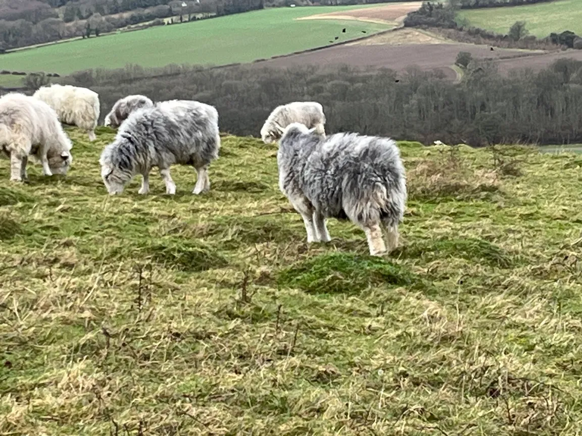 Old Winchester Hill