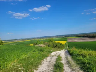 Rezerwat Kąty