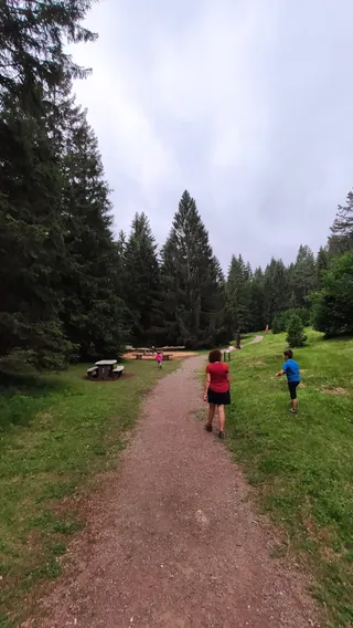 Parco SCIURY - Ingresso Molveno