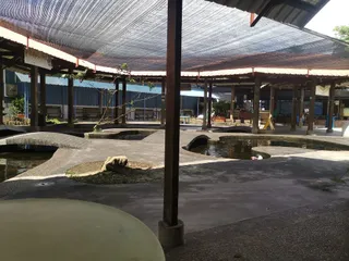 Qian Hu Fish Farm