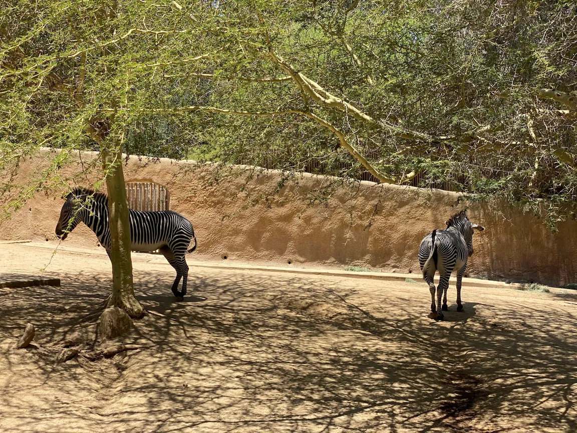 Los Angeles Zoo