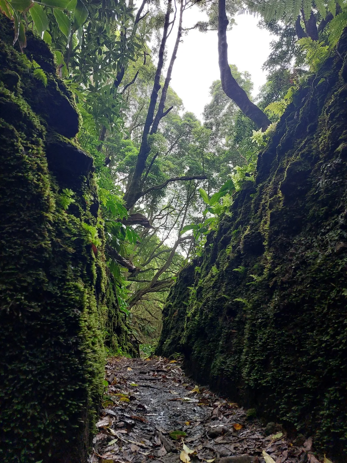 Ribeira do Faial da Terra Trailhead