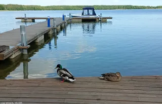 Port - Ośrodek Wypoczynkowy "Kętrzyńska Przystań"