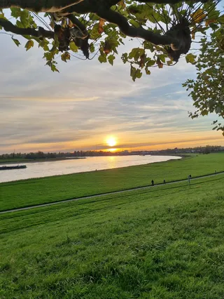 Rheinpark Heerdt