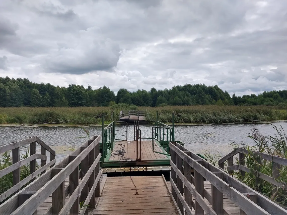 Kładka turystyczna Szuszalewo - Jałowo - Nowy Lipsk