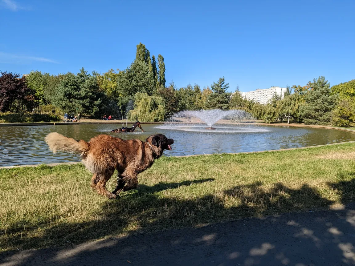 Park Rzeźby na Bródnie