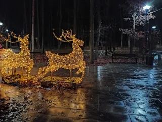 Park Zdrowia