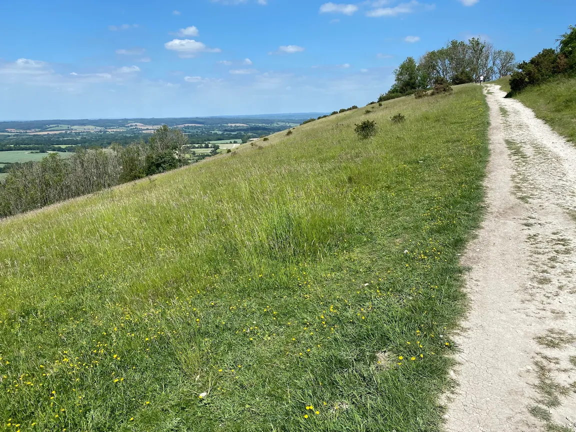 National Trust - Harting Down