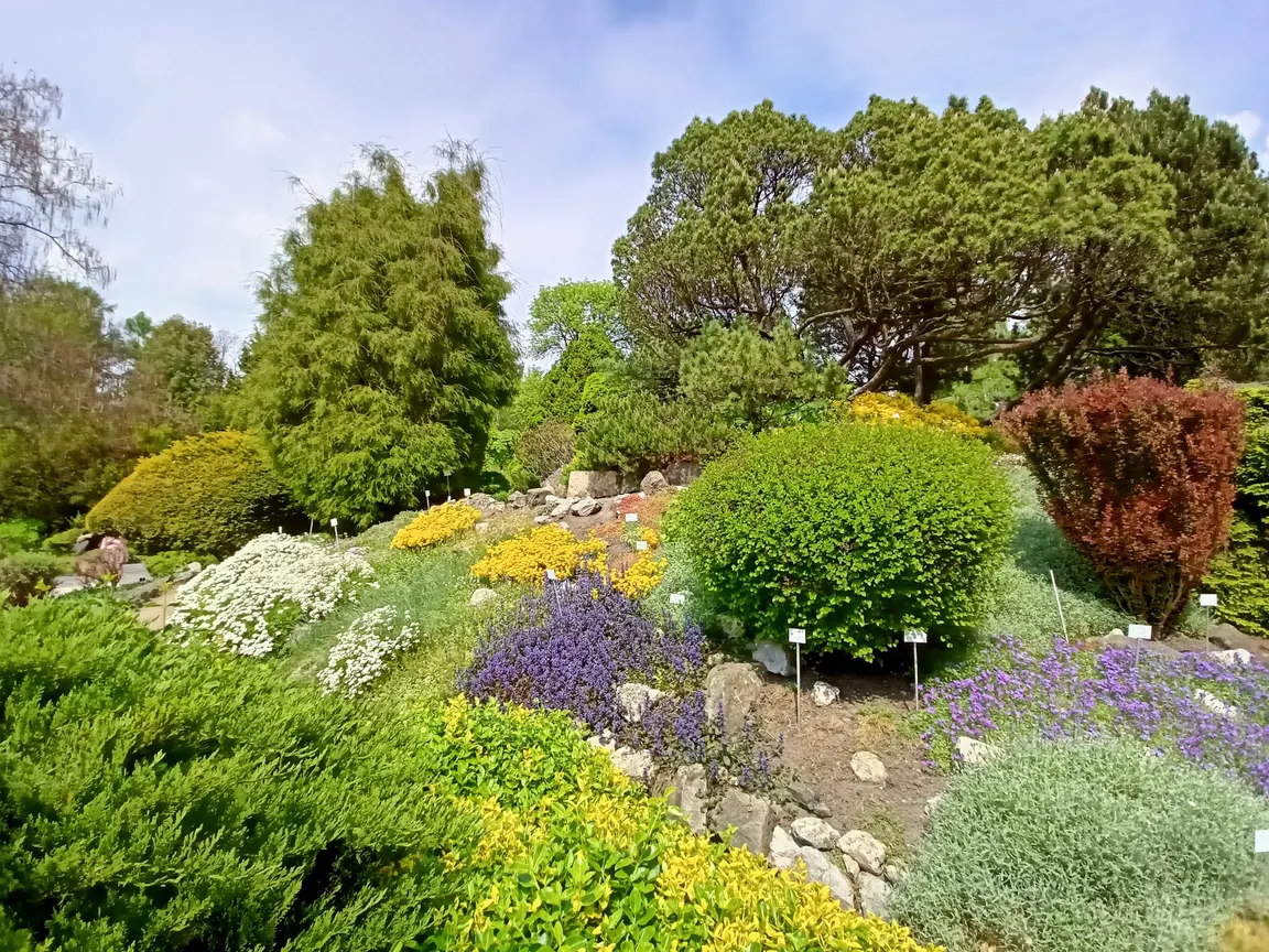 Ogród Botaniczny Uniwersytetu Jagiellońskiego