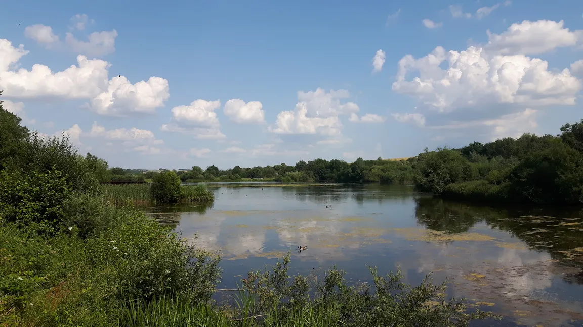 Langford Lakes Nature Reserve, Wiltshire Wildlife Trust