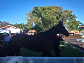 Eagle Farm Racecourse