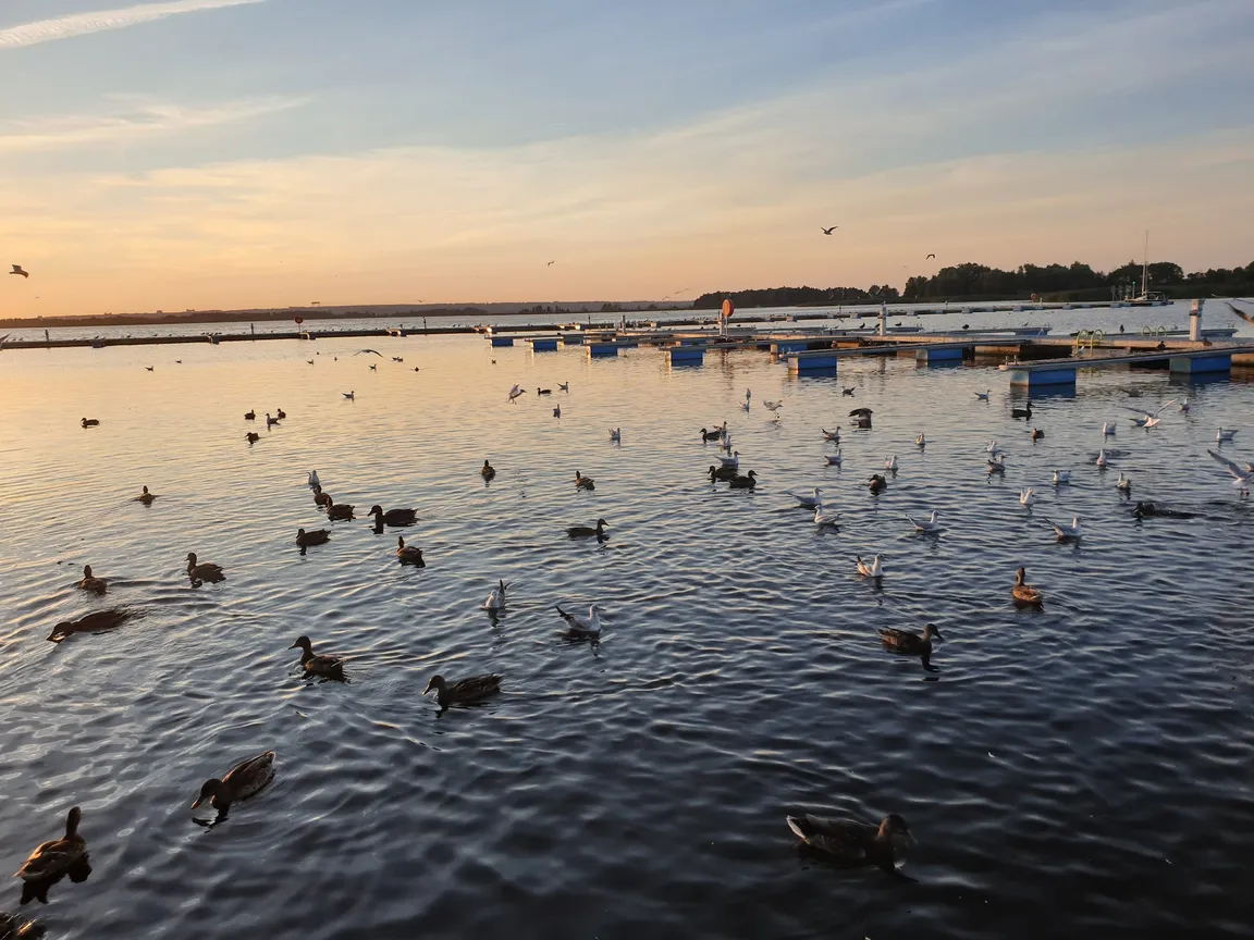Port Jachtowy Marina Dąbie