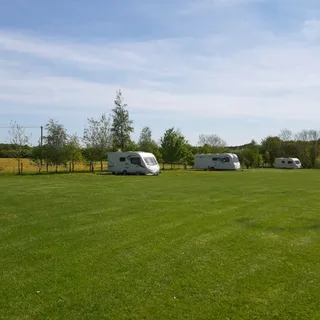Orchard Meadow CL